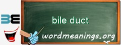 WordMeaning blackboard for bile duct